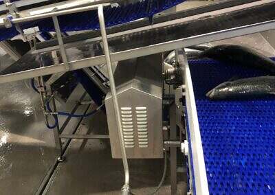 food industry harsh condition pillow block housing ucp50